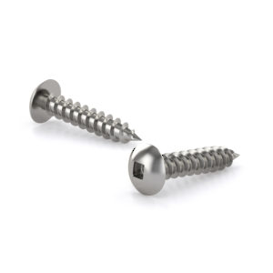Stainless Steel Metal Screw, Truss Head, Square Drive, Self-Tapping Thread, Type A Point